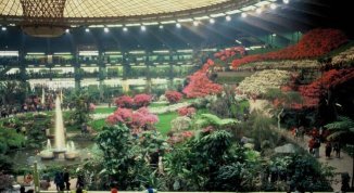 60 anni di Euroflora a Genova: mostra gratuita e convegno internazionale