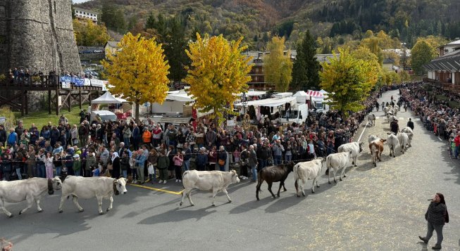 Transumanza a Santo Stefano d'Aveto 2026: programma, orari e Pranzo Contadino