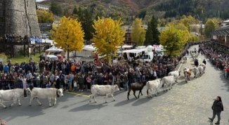 Transumanza a Santo Stefano d'Aveto 2026: programma, orari e Pranzo Contadino