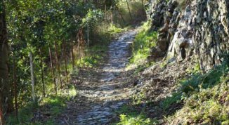 Trekking lungo creuze e chiese tra Borzoli e Sestri Ponente