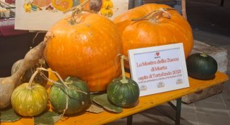 Mostra della Zucca di Murta 2026: programma della sagra, orari e concorsi