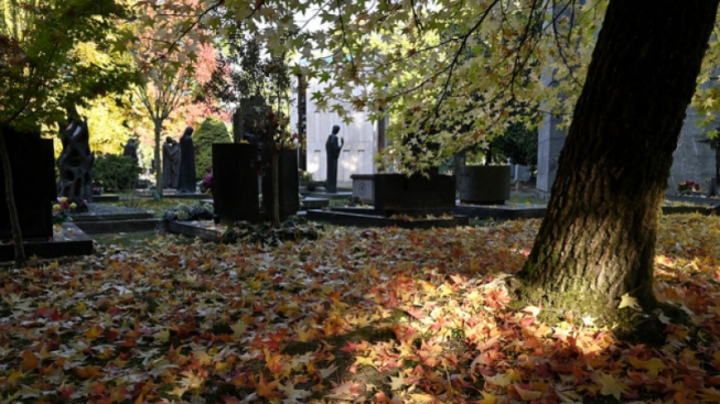 Flickr.com / Comune di Milano