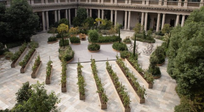 Visita con degustazione