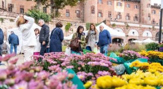 Fiorile 2026 a Moncalieri: orti e fiori in mostra al Giardino delle Rose tra crisantemi, jazz e laboratori
