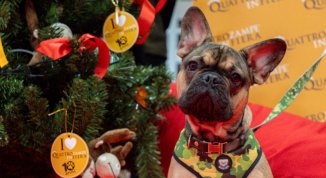 Quattrozampeinfiera: atmosfere natalizie, incontri con esperti, shopping e iniziative per famiglie