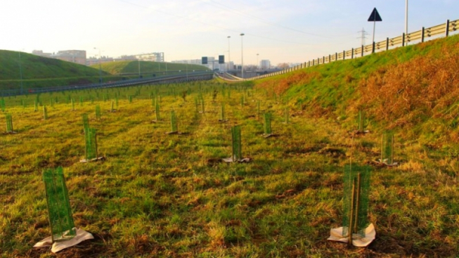 Flickr.com / Comune di Milano