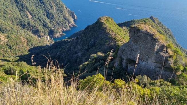 facebook.com/ente.parcoportofino