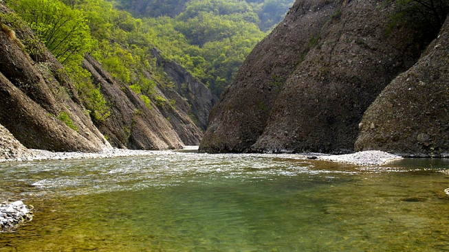 Myself, wikipedia commons