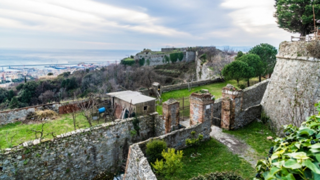 Facebook.com/LaPiumaOdV