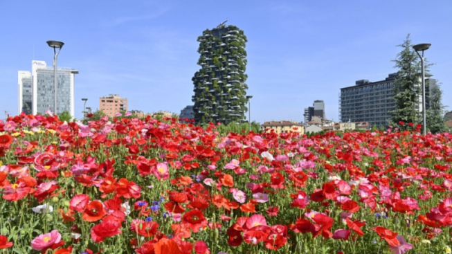 Flickr.com / Comune di Milano