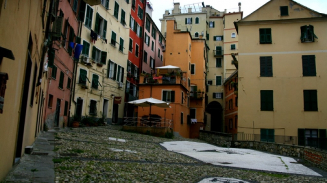 bluto blutarski | Flickr