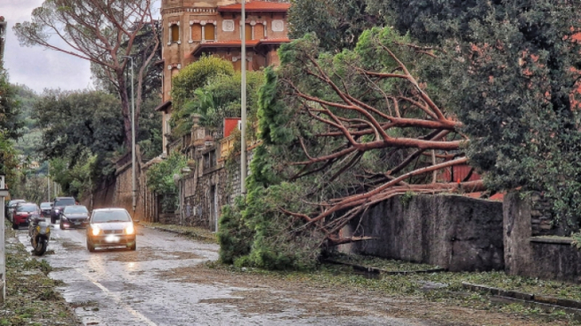 Facebook.com/comunelavagna.ufficiostampa