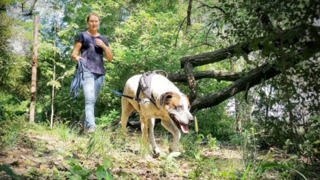 Valentina Giulia Leone Fantini
