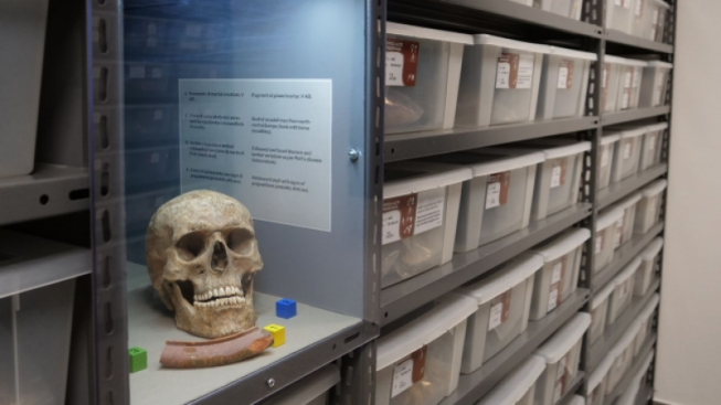 facebook.com/LaStatale