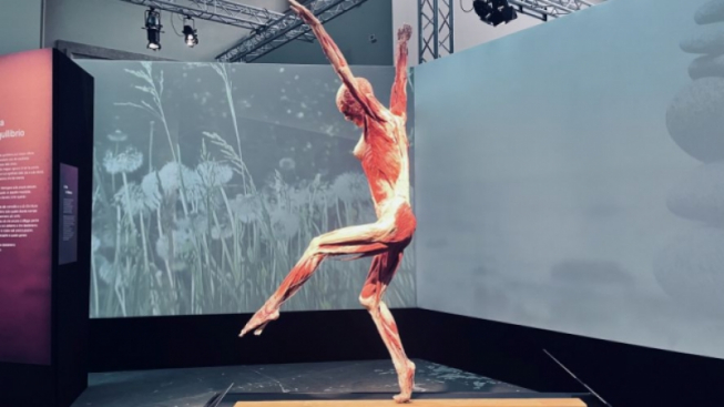 Giorgia Petani / mentelocale.it