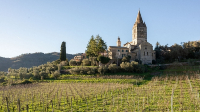 Davide Marcesini - Fai