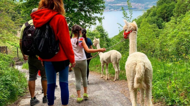 facebook.com/eldosdelbec