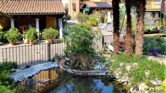 Bernadette Hanna / mentelocale.it