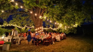 Oltrepò Pavese, cosa fare e dove andare? 10 idee tra panchine giganti, degustazioni di vini, picnic e cene tra i filari