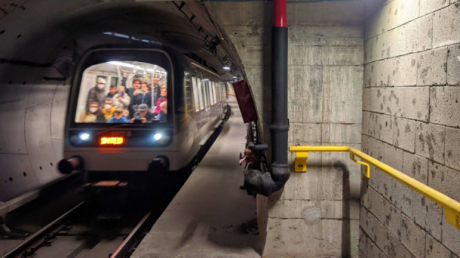 Wikimedia Commons - BouncyCactus