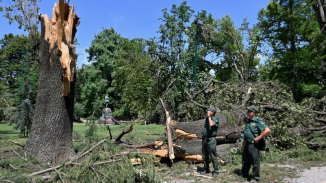 Flickr.com / Comune di Milano