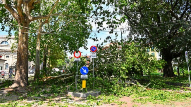 Flickr.com / Comune di Milano