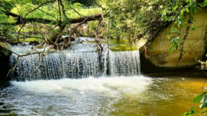 Le cascate segrete di Ceriano Laghetto, a 20 minuti da Milano: dove sono e come raggiungerle