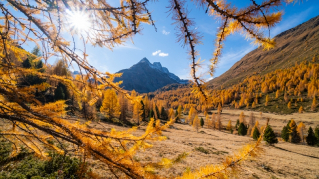 L'autunno alla scoperta di Bormio: cosa fare e dove andare tra passeggiate, terme e buon cibo