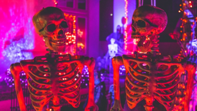 Unsplash -  Kenny Eliason