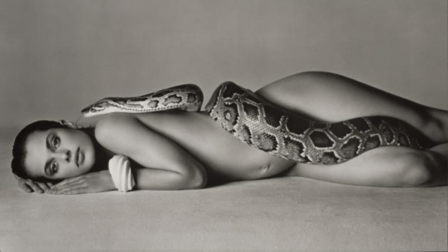 The Richard Avedon Foundation