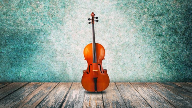 shutterstock