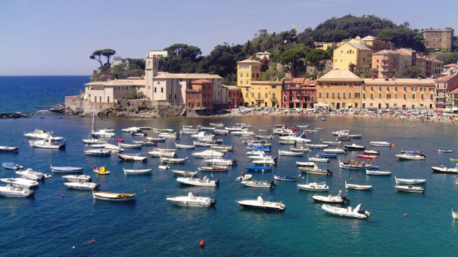 Michela Simoncini, wikipedia