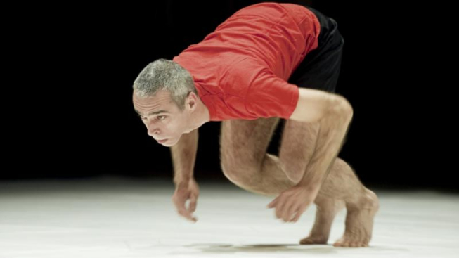 Andrea Macchia