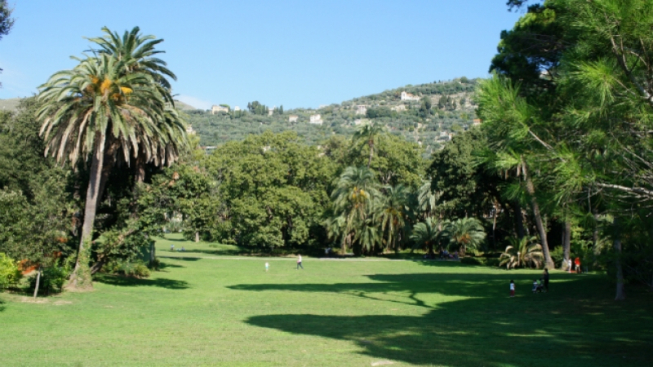 Superchilum, wikipedia commons