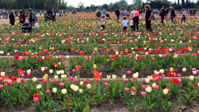 Federica Fiorini - mentelocale.it