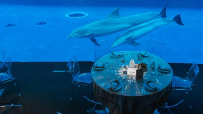 Facebook.com/acquariodigenova