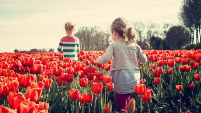 benscherjon-Ben Scherjon/pixabay.com