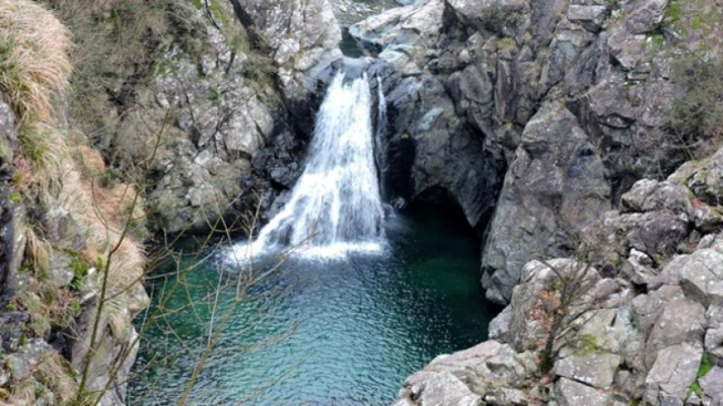 Wikimedia Commons- Pampuco