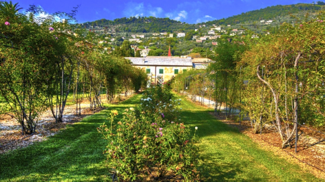 Maurizio Beatrici, wikipedia