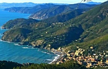 facebook.com/officinelevante