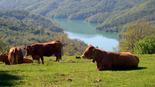 PR Parco dell&apos;Antola