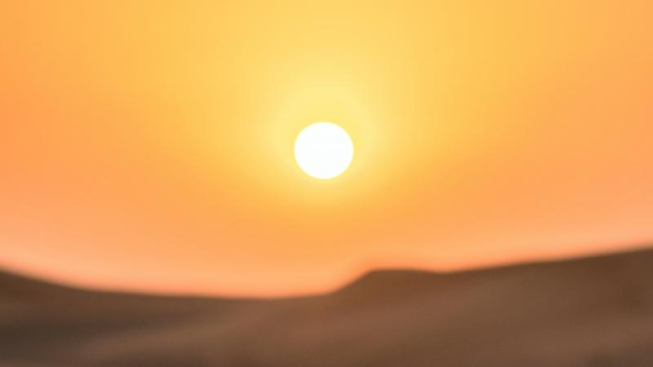 Pexels / Fabio Partenheimer