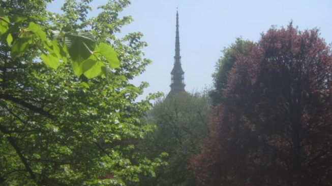 Alessandra Chiappori