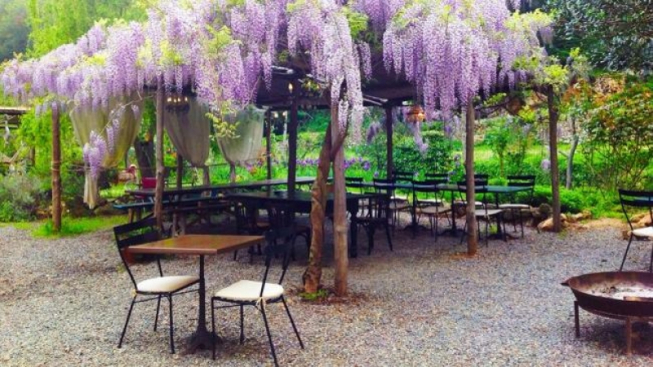 facebook.com/valleponci