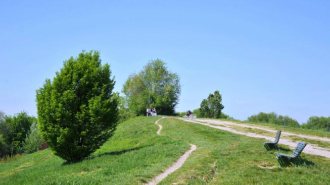 Flickr.com / Comune di Milano