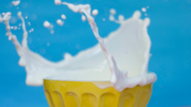 Unsplash - Daniela Díaz