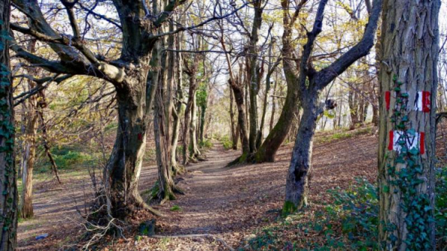 Facebook.com/mytrekking