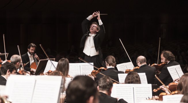 Giuseppe Grazioli © Studio Hanninen