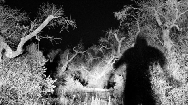 Jean-Marc Caimi e Valentina Piccinni. Finalista foto Singola 2021. This Land Is My Land