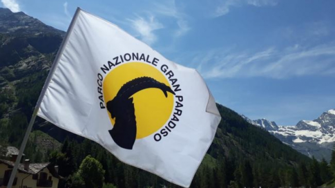 Angelica Magliocchetti